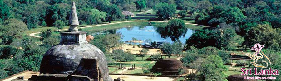 IEmbassy of Sri Lanka, Cairo - Egypt